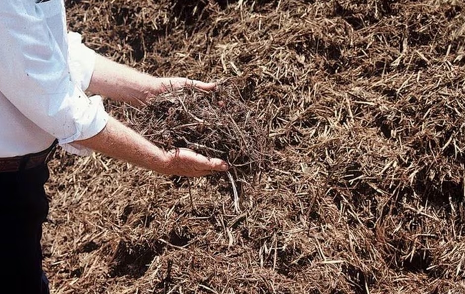 The Ultimate Guide to Mulch on the Gold Coast: Everything You Need to Know
